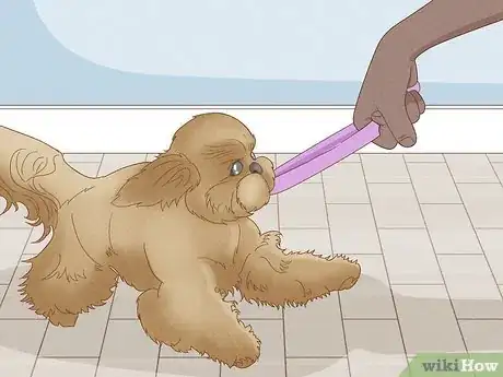 Image titled Make Your Dog More Playful Step 8