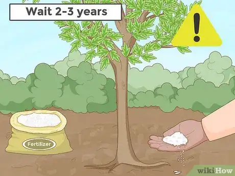 Image titled Replant a Tree Step 17