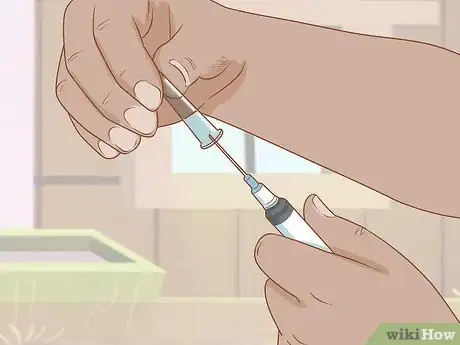 Image titled Give Cattle Injections Step 10