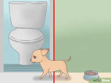 Image titled Care for Your Chihuahua Puppy Step 10