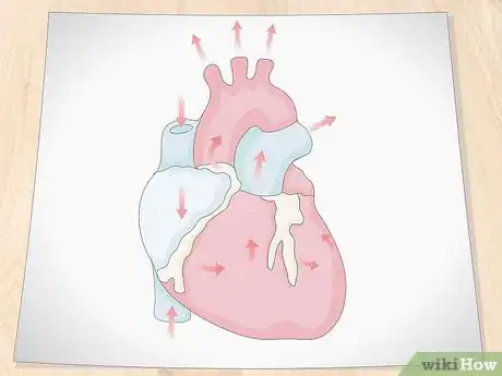 Image titled Draw a Human Heart Step 11