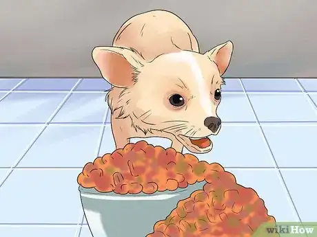 Image titled Help Your Chihuahua During Labor Step 17