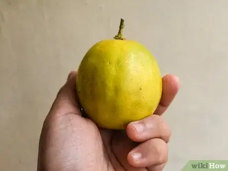 Image titled Ripen Lemons Step 1