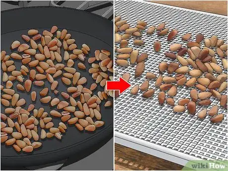 Image titled Roast Pine Nuts Step 8