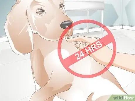 Image titled Apply Advantage to Dogs Step 5