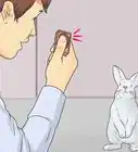 Teach Your Rabbit to Come when Called