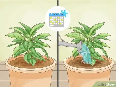 Image titled Revive a Plant Step 12