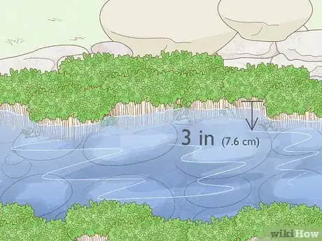 Image titled Grow Watercress in a Pond Step 17