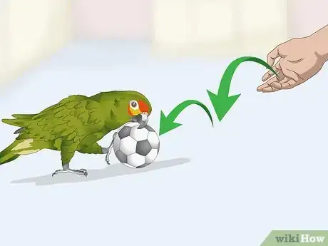 Image titled Deal with an Aggressive Amazon Parrot Step 13