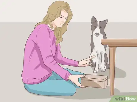 Image titled Test a Dog's Intelligence Step 13