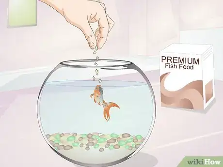 Image titled Keep a Goldfish Alive Step 5