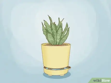 Image titled Use Self Watering Pots Step 15