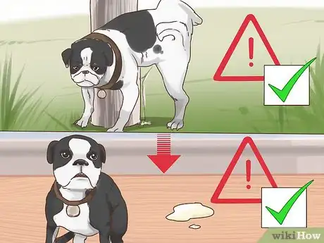 Image titled Determine if You Should Euthanize Your Dog Step 4