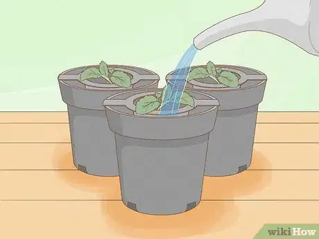 Image titled Grow Plants Using Hydroponics Step 10