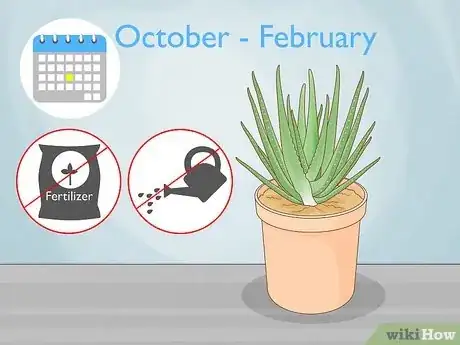 Image titled Care for Your Aloe Vera Plant Step 5