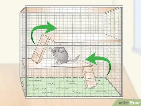 Image titled Keep a Chinchilla Calm Step 1