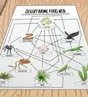 Draw a Food Web