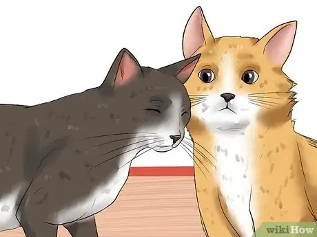 Image titled Help Cats Become Friends Step 14