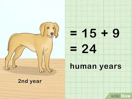 Image titled Determine Your Dog's Age Step 8