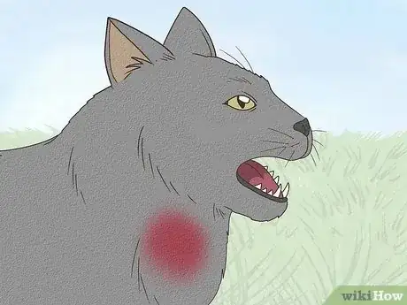 Image titled Tell if a Cat Has a Sore Throat Step 5