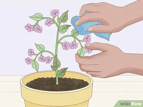 Image titled Get Rid of Mold on Houseplants Step 13