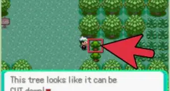 Get Cut in Pokémon Emerald