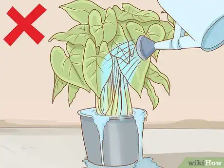 Image titled Get Rid of Powdery Mildew on Plants Step 16