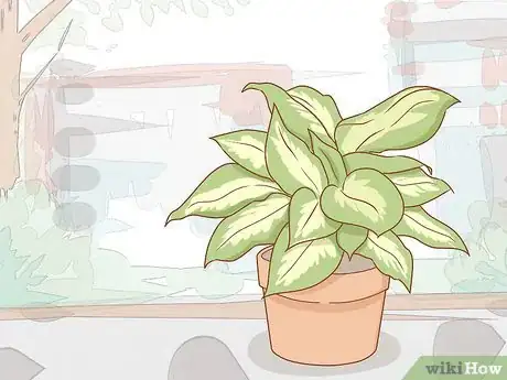 Image titled Get Rid of Powdery Mildew on Plants Step 13