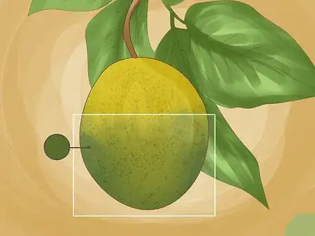 Image titled Identify Lemon Tree Diseases Step 4