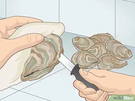 Image titled Cook Oysters Step 2