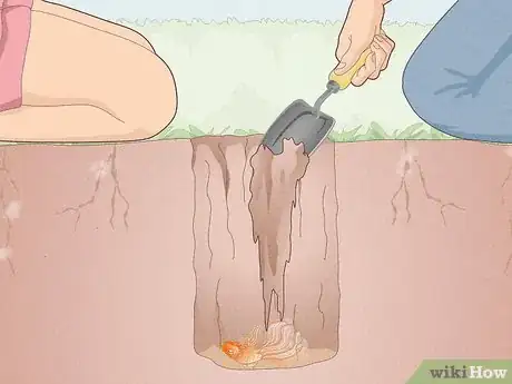 Image titled Dispose of Aquarium Fish Step 12