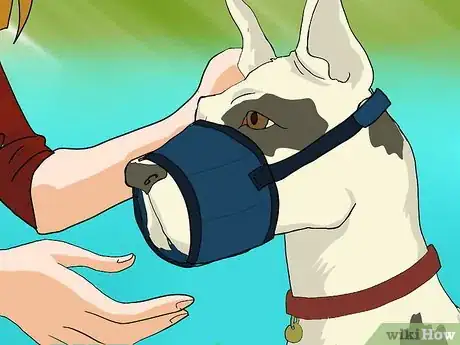 Image titled Use a Muzzle to Correct Nipping in Dogs Step 5