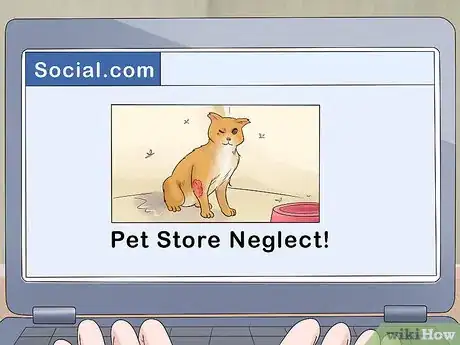 Image titled Report Pet Store Neglect Step 13