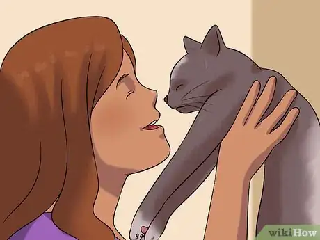 Image titled Stop a Cat from Chewing on Your Hair Step 6