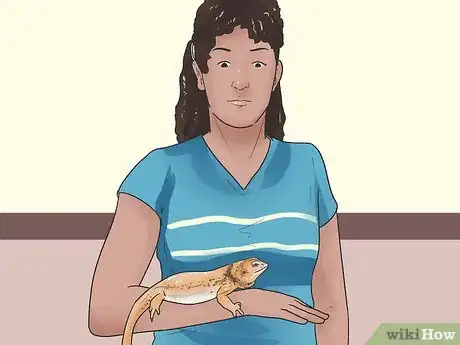 Image titled Hold a Bearded Dragon Step 5