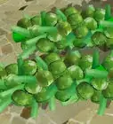 Grow Brussels Sprouts