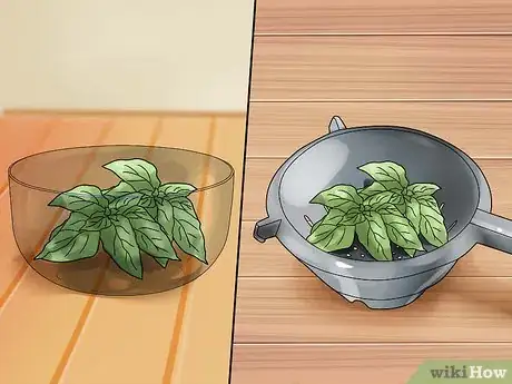 Image titled Use a Food Dehydrator Step 15