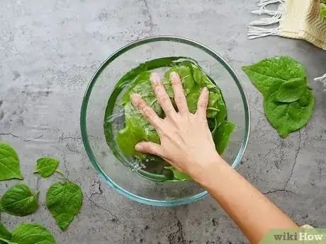 Image titled Prepare Spinach Step 4