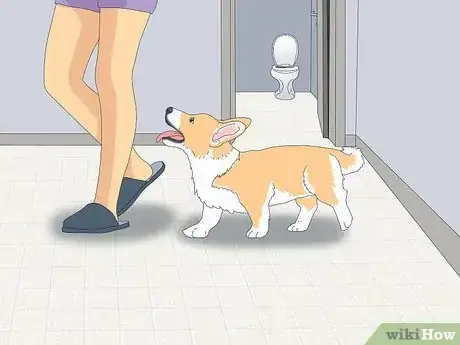 Image titled Why Do Dogs Follow You to the Bathroom Step 4