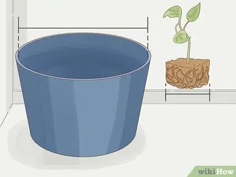 Image titled Grow Philodendron from Cuttings Step 14