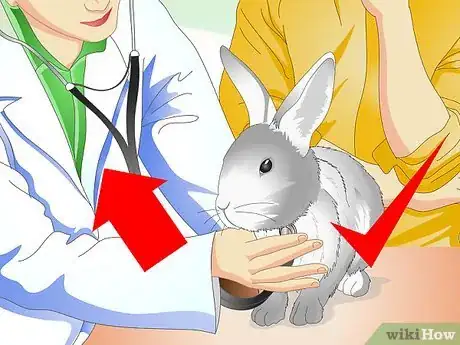 Image titled Keep Pet Rabbits Cool Step 9