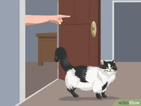 Image titled Stop Your Cat from Waking You at Night Step 5