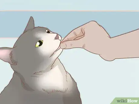 Image titled Trim Your Cat's Nails Step 11