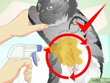 Image titled Make an Herbal Flea Remedy for Cats Step 29