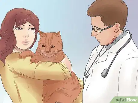 Image titled Stop Stress Induced over Grooming in Cats Step 14