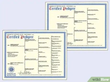 Image titled Check a Dog's Pedigree Step 7