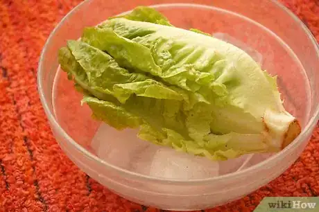 Image titled Make Lettuce Extra Crispy Step 2