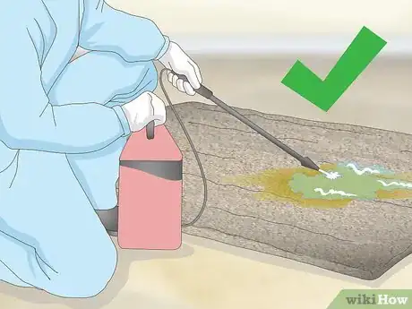 Image titled Remove Old Dog Urine Stains Step 16