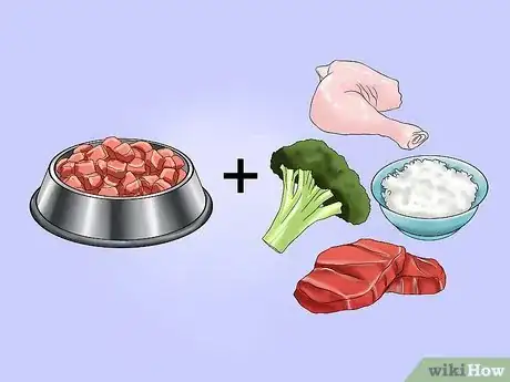 Image titled Get Your Dog to Eat Dry Food Step 7