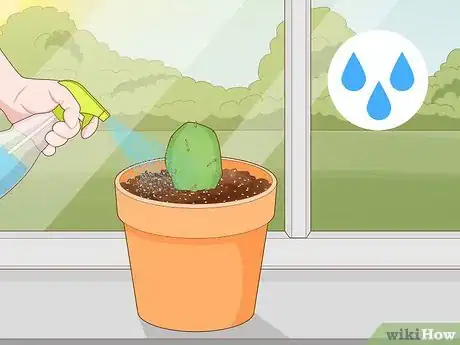 Image titled Propagate a Cactus Step 10